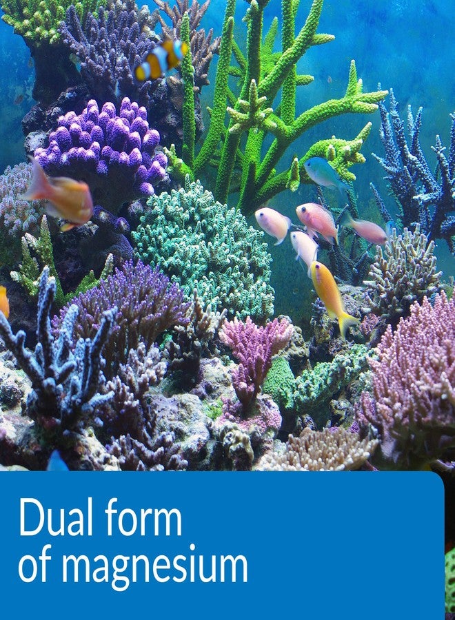 API Marine Magnesium Reef Aquarium Magnesium Solution 16-Ounce Bottle - Image 5